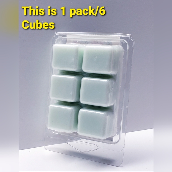 EUCALYPTUS RAIN -Bath & Body Works Candle Wax Melts- $8 per pack - Picture 4 of 9